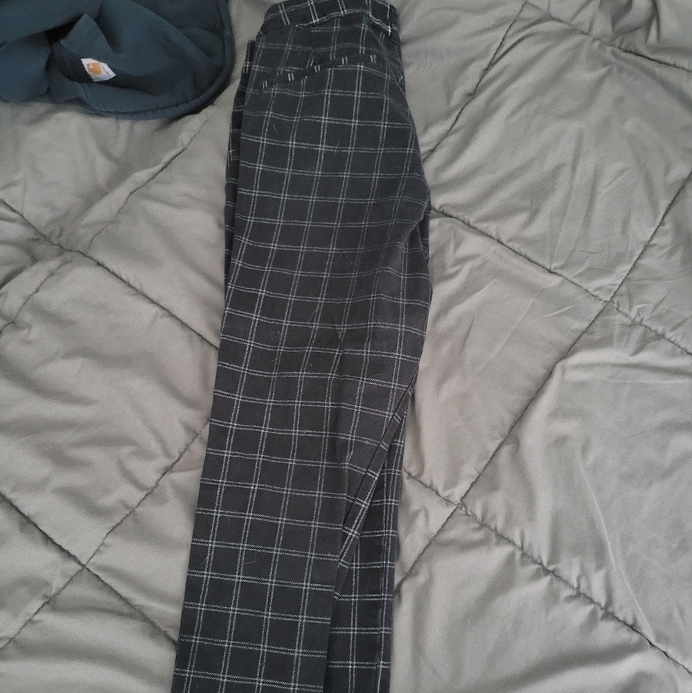Dress pants